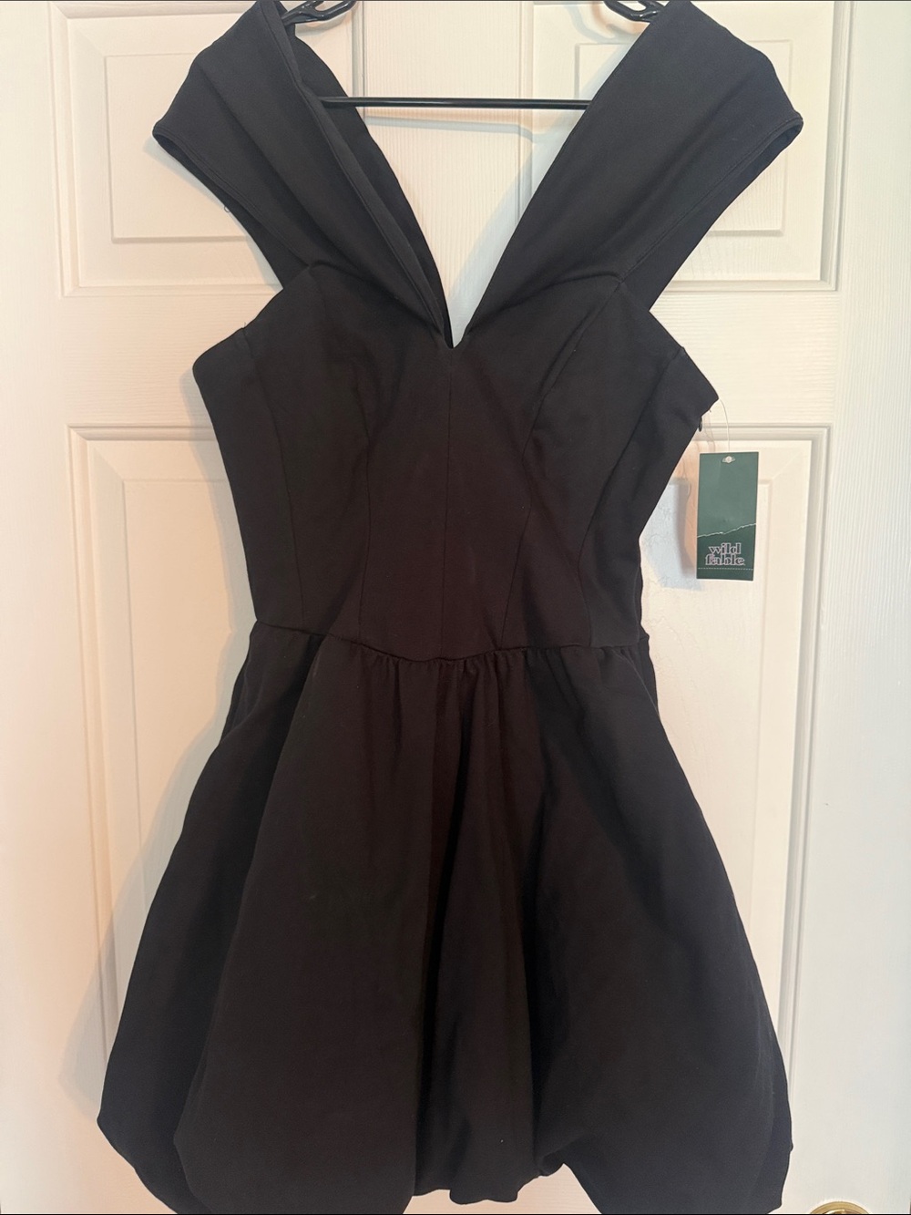 wild fable Black V-Neck Fit & Flare Mini Dress